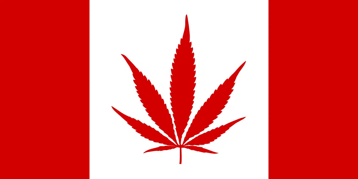 Canadian weed flag for cannabis seeds and Coastal Mary seeds