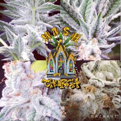 Hash Church Feminised seeds from Natural Born Smokers For Coastal Mary Seeds