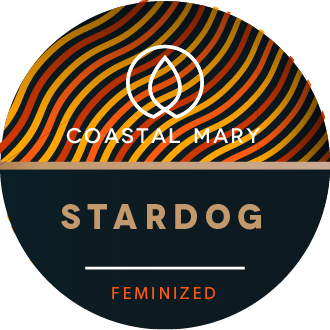 Stardog feminized seeds logo for Coastal Mary
