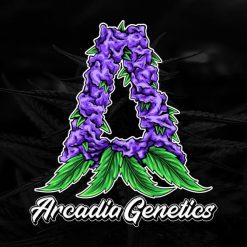Arcadia Genetics Photo Feminised Seeds