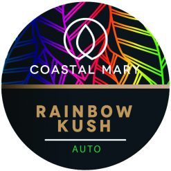 Rainbow Kush autoflower cannabis seeds for Coastal Mary