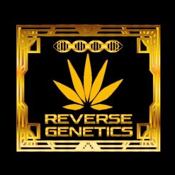 Reverse Genetics - Photo Feminised Seeds