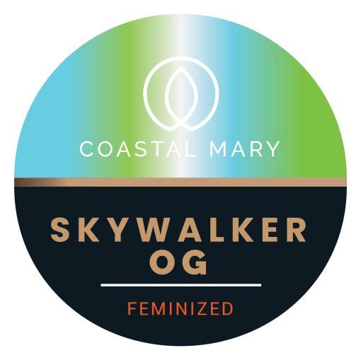 Skywalker OG feminised seeds by Coastal Mary