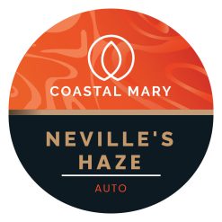 Neville's Haze Autoflower sativa by Coastal Mary