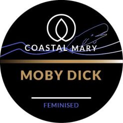 Moby Dick Feminised Photo Seeds for Coastal Mary Seeds